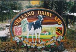 cow painted on cedar sign