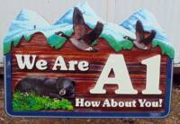 We are A1,Newport beach Vernon BC,fun recreational property sand blasted cedar sign,hand painted bears,geese,Sasquatch,custom made,hand painted,Condor signs Vernon BC,ships world wide,