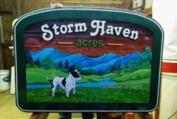 Storm Haven Acres Vancouver Island breeders of champion pit bulls.This sign was created,artist painted,sandblasted by Condor Signs Vernon BC.s